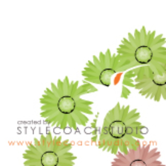 stylecoach1